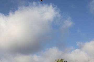 Imágenes de la quinta jornada del incendio de la cumbre grancanaria (Foto TA, Jesús Ruiz Mesa, C7, Acfi Press y CA)